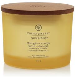 Chesapeake Bay Illatgyertya Chesapeake Bay Candle Strength & Energy 3 Kanóc - yankeegyertya