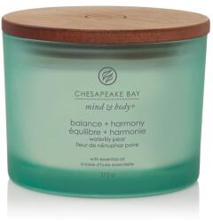 Chesapeake Bay Illatgyertya Chesapeake Bay Candle Balance & Harmony 3 Kanóc - yankeegyertya