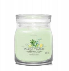 Yankee Candle Cucumber Mint Cooler Yankee Candle közepes gyertya (1728904E)