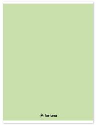 Fortuna Füzet vonalas FORTUNA Monocolor A/4 32 lapos pasztell zöld (01.02105) - tonerpiac