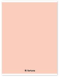 Fortuna Füzet vonalas FORTUNA Monocolor A/4 32 lapos pasztell barack (01.02104) - tonerpiac