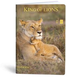 Mar-Mar Füzet kockás LIPAMILL A/4 40 lapos King of lions (1211640087) - vectraline