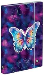 KARTON P+P Füzetbox OXY A/5 Butterfly (5-69025) - fotoland