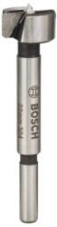 Bosch - Burghiu pentru lemn 22x90, tija 8mm [2608597107] (2608597107) Burghiu