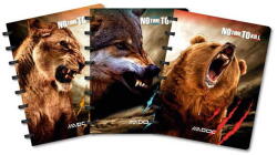 Adoc Caiet A5, 72 file - 90g/mp, coperta PP - no time to kill, AURORA Adoc Crea collection - matematica (CR55.304)