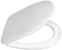 SAPHO Wc tető, Aqualine Riga Duroplast RG901 - zuhanykabin