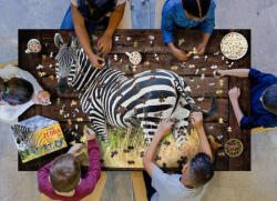 WOW Toys Puzzle 1000 piese - Zebra (7003-IAMZebra)