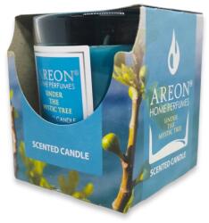 Areon ароматизирана свещ, 120гр, Under the Mystic tree