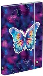 KARTON P+P Füzetbox OXY A/5 Butterfly (5-69025) - tonerpiac