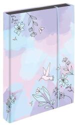 KARTON P+P Füzetbox OXY A/4 Jumbo Colibri (8-76325) - tonerpiac
