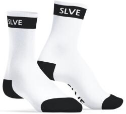  SLVE
