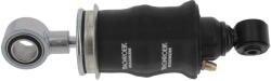 MONROE Amortizor, suspensie cabina MONROE MAGNUM Cabin CB0304 (CB0304)