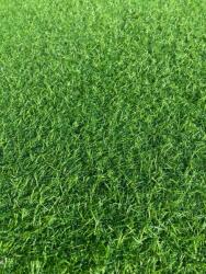 LEISURE Gazon Artificial, Lungime Fir 15 mm, Latime 4m, Marime 400 x 700 cm, Verde, Imitatie Gazon Natural, Antialergic, Polipropilena, Curte, Terasa, Balcon, Piscina, Loc de Joaca, Gradinita (GAZON LEISURE 1