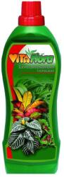 Vitaflóra 2 Levéldisznövény 0, 5L/1L (0, 5l)
