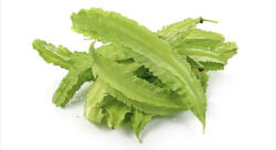  Winged Beans 500g Import Thailanda