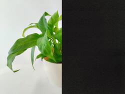 DIMEX ART s. r. o Statikus sötétítő fólia 90 x 200 cm fekete (DWF-FB-04)