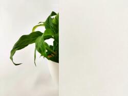 DIMEX ART Statikus fólia köd 60 x 200 cm (DWF-FM-03)