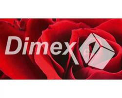 DIMEX Festmények üvegre - rózsák 60 x 30 cm (GL-60-007)