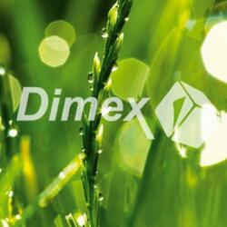 DIMEX Festmények üvegre - fű 30 x 30 cm (GL-30-015)