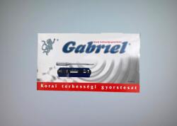  Gabriel korai terhességi gyorsteszt (kazettás) 1 db (SUN033)