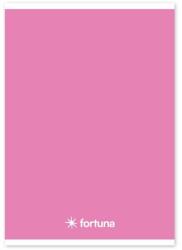 Fortuna Füzet vonalas FORTUNA Monocolor A/5 32 lapos 21-32 rózsaszín (01.02085) - fotoland