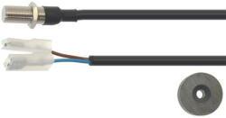 Whirlpool Mágneses mikrokapcsoló D1041V