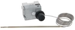 Thermostat Single-phase 318°c Tecasa