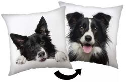 Max-Fashion Kft Kutyás Border Collie párna, díszpárna 40x40 cm (JFK039199)