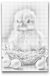  PontPöttyöző - Húsvéti csibe tojásokkal Méret: 20x30cm, Keretezés: Műanyagtáblával, Szín: Kék