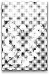  PontPöttyöző - Lepke tavaszi ágon Méret: 40x60cm, Keretezés: Műanyagtáblával, Szín: Fekete