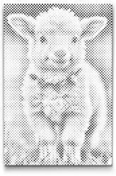  PontPöttyöző - Tavaszi bárány Méret: 40x60cm, Keretezés: Műanyagtáblával, Szín: Fekete