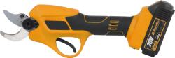 Riwall PRO RAP 3020i SET AC42F2301012B Foarfeca de gradina