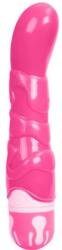 LyBaile Realisztikus vibrátor 21,8 cm (6959532307276)