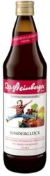 Dr. Steinberger Kinderglück - vasban gazdag vegyes gyümölcslé - 750 ml