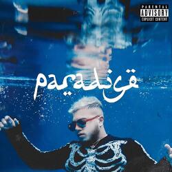 Magneoton Zrt Hamza - Paradise (Vinyl LP (nagylemez)) (190295472719)
