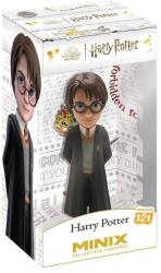 MINIX filmek: Harry Potter - Harry Potter
