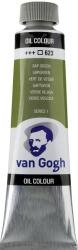 Van Gogh 2056233 Vopsea cu ulei Sap Green 40 ml 1 buc (<![CDATA[02056233]]>)