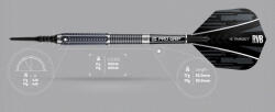 Target Darts szett Target, soft 19g Raymond van Barneveld, 95%, RVB gravírozott