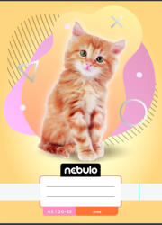 Nebulo Füzet, A5, sima, 20-32, Állatos minták, 16 db/csomag Nebulo (SI-ÁM-A5) - cartridge