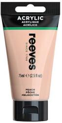 Reeves akrilfesték, 75 ml - peach