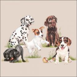 Ambiente Playing puppies papírszalvéta 33x33cm, 20db-os