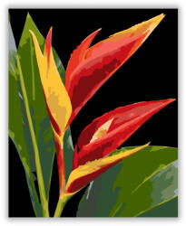  Vibráló Heliconia Virág - számfestő készlet