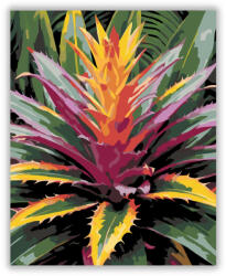  Színpompás Bromélia - számfestő készlet