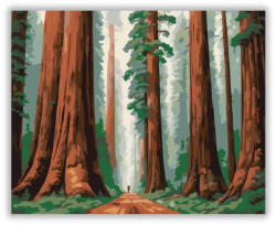 Óriás Vörösfenyők Erdeje - számfestő készlet