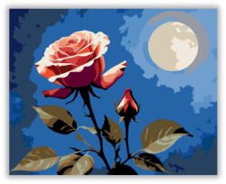  Holdfényes Rózsa - számfestő készlet