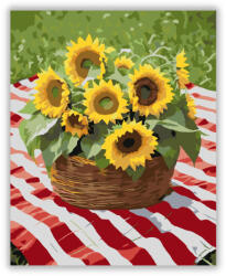 Napraforgó Könyvkiadó Kosár Pikniken - számfestő készlet