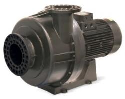 Astral Pool Kivu szivattyú 10 HP 400/690 V 50Hz - Előszűrő nélkül (56637-0890)