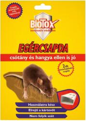  Biotox egércsapda 2 db (290016)