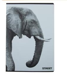 STREET Notebook STREET Safari A/4 54 pagini în carouri 65881 (65881)