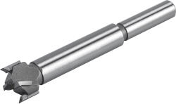 Extol biți de curea pentru lemn, diametru: 15 mm, lamă din carbură, prindere: 8mm, lungime: 85mm
